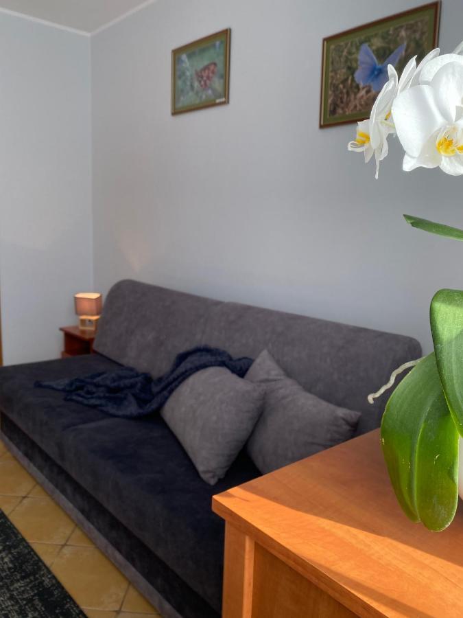 Pod Kasztanami Homestay
